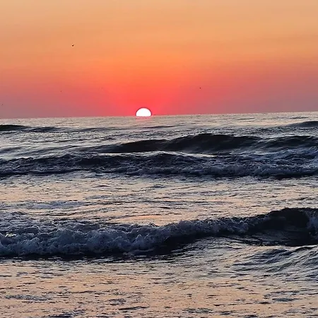 Mirami White Titanic